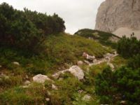 2014-08-02_06FritzPflaum-Steig (370).JPG